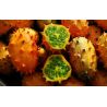 Kiwano