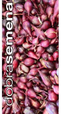 CIBULE - SAZEČKA - ČERVENÁ 250 g (8-16 mm)