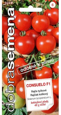 CONSUELO F1
